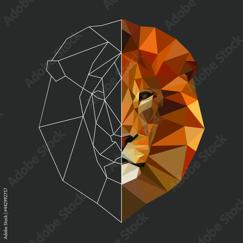 Polygonal lion head. Lion.  Low poly animal. Geometric lion. Linear Lion. Half linear half polygonal animal.