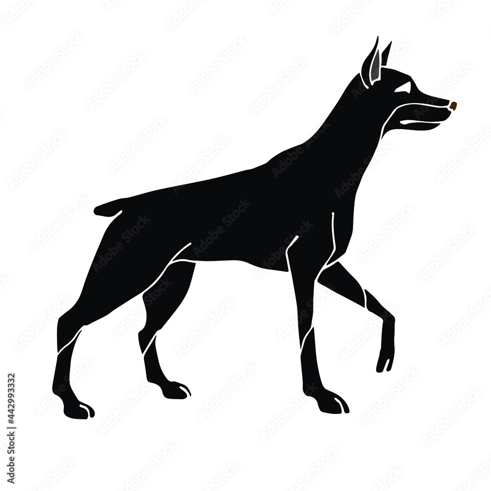 Vector hand drawn doodle sketch black doberman dog isolated on white background