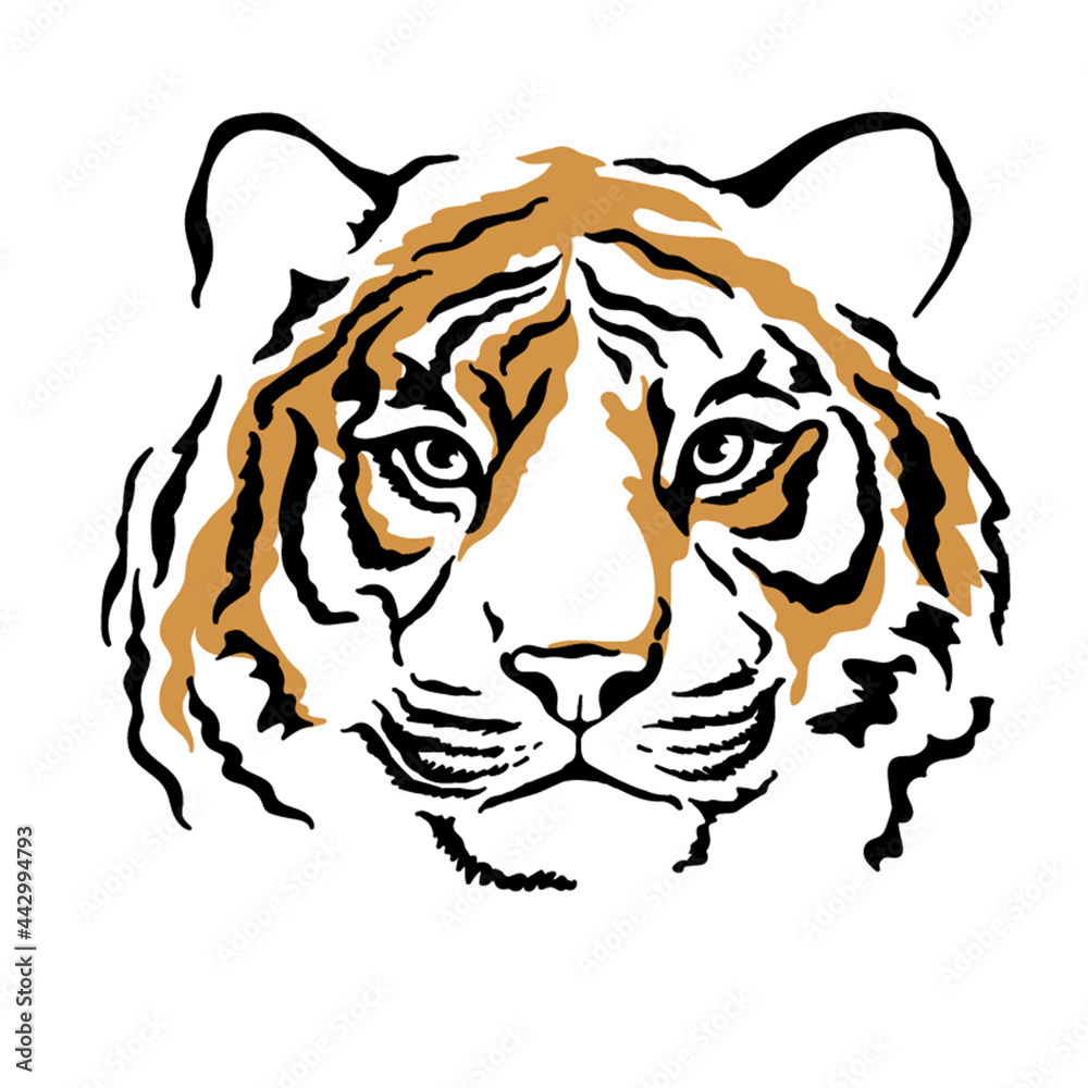 Vecteur Stock Tiger portrait isolated on white background. Template.  Close-up. Clip art. Hand Painting. Ink. Vector. Line art. Muzzle. | Adobe  Stock