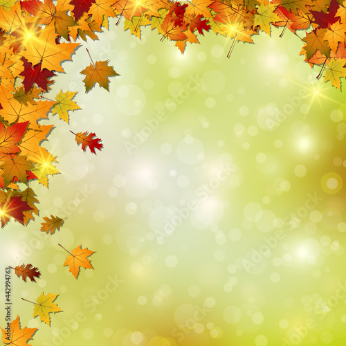 Autumn style blurred vector background with bokeh effect and colorful leaves