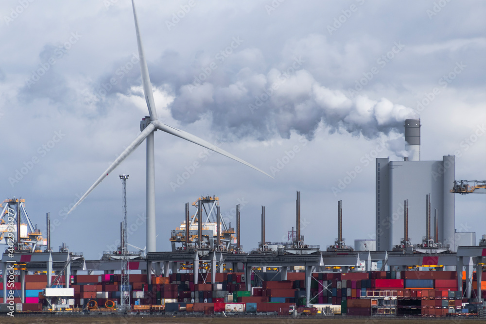 Obraz premium Container terminal in the Rotterdam harbor
