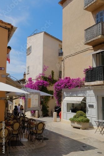 Saint Tropez, France ambiance et environnement 