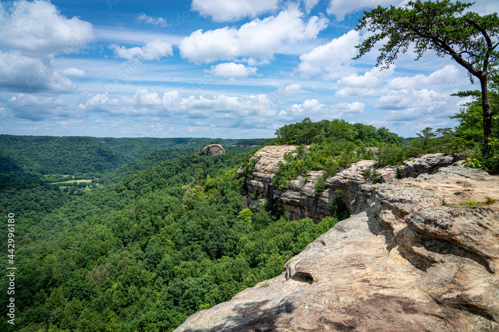 red river gorge trail