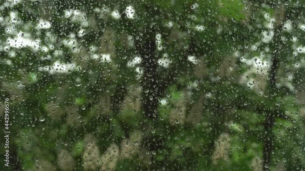 Raindrops run down the glass of the window.Blooming chestnut.Rainy, windy weather. Raindrops run down the glass of the window.Blooming chestnut.Rainy, windy weather.