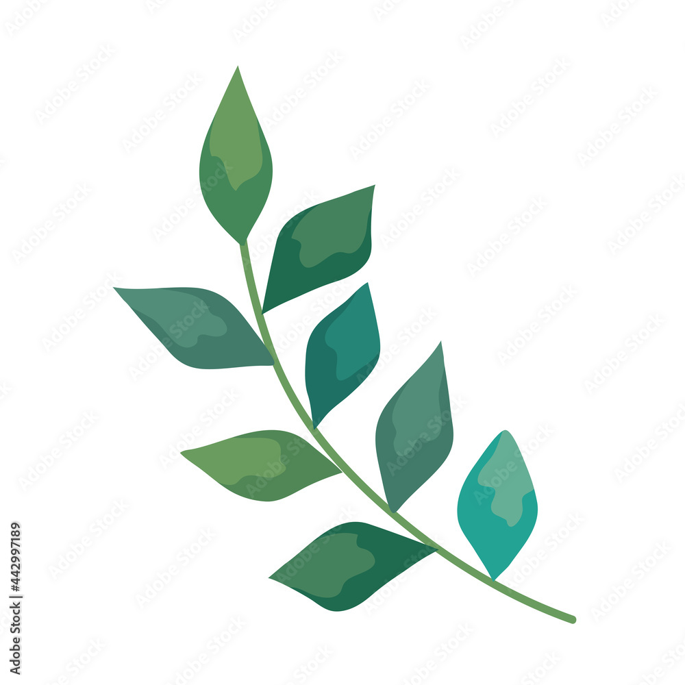 Fototapeta premium Plant leaf icon
