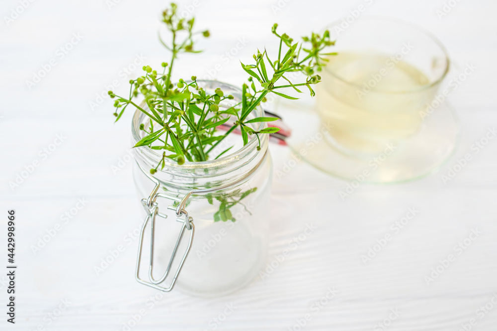 Herbal tea from dungeon, Galium aparine cleavers. Urinary drink next to