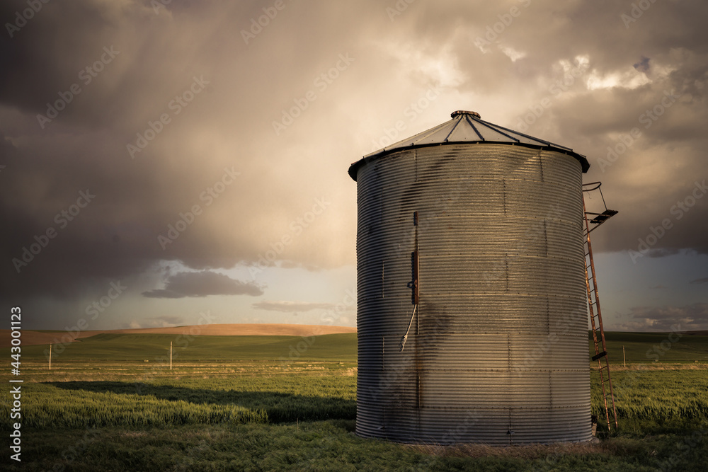 View of industrial grain silo from wheat farm in the Palouse Washington State View of industrial grain silo from wheat farm in the Palouse Washington State