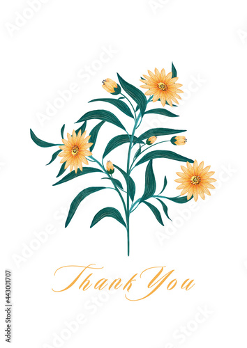 Botanical poster, 