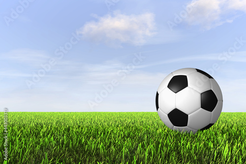 football soccer lawn blue sky 3d