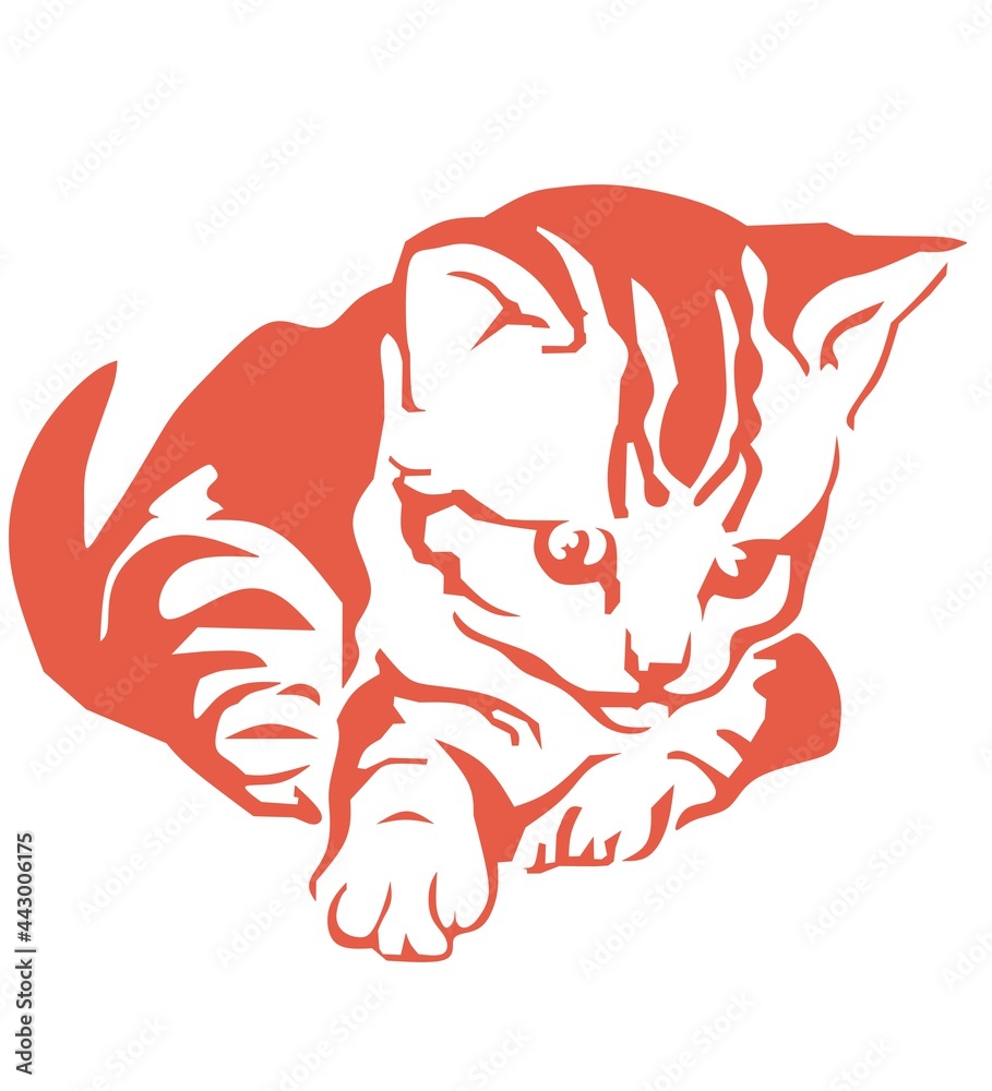 Obraz premium cat and mouse