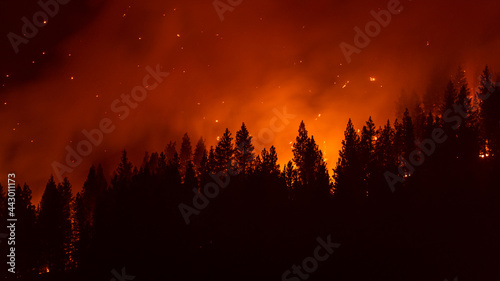 Forest fire burns in California