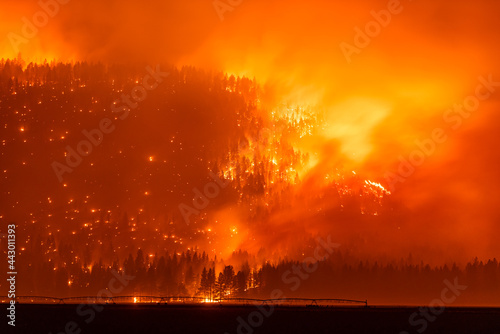 Blazing forest inferno in the western United States