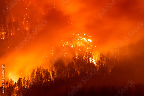 Out of control wildfire in forest