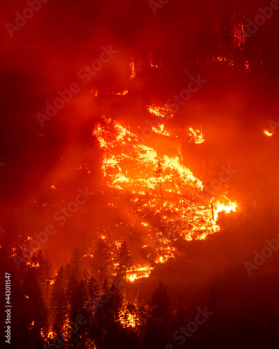 Wildfire burns on California mountain