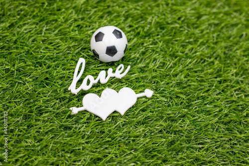 Soccer ball with love word and heart on green grass