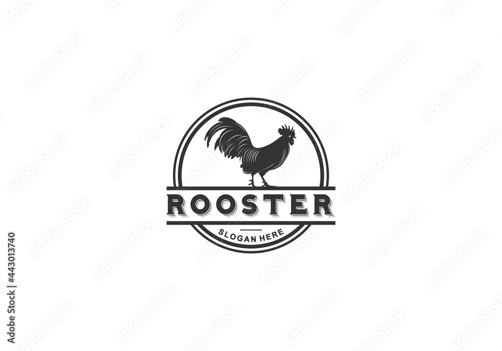 roster illustration logo on white background roster illustration logo on white background