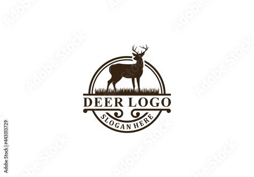 deer logo in white background