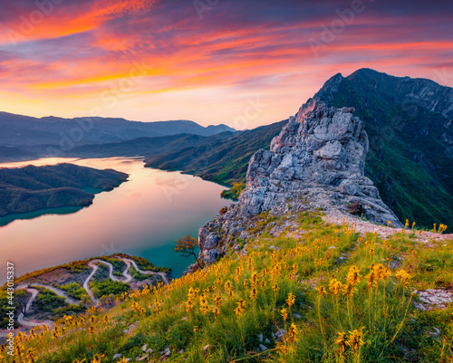 Fototapeta Naklejka Na Ścianę i Meble -  Captivating sunrise on Bovilla Lake, near Tirana city located. Majestic spring landscape with blooming yellow flowers. Superb outdor scene of Albania, Europe.