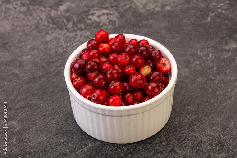 Sweet and tasty cranberry in the bowl Sweet and tasty cranberry in the bowl