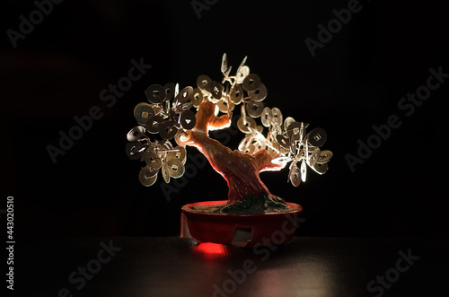 Wallpaper Mural Chinese money tree statuette on a black background illuminated from behind by light Torontodigital.ca