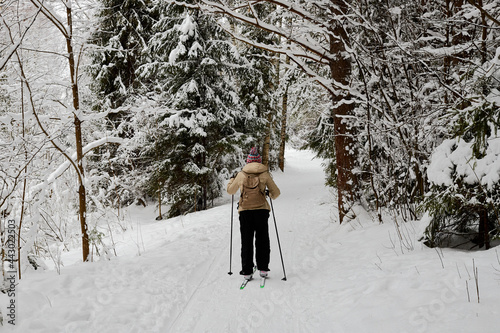 Beautiful snow-covered forest with trees and skier in cold day