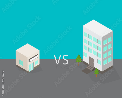 small company compare to large company to show the different and which one you prefer
