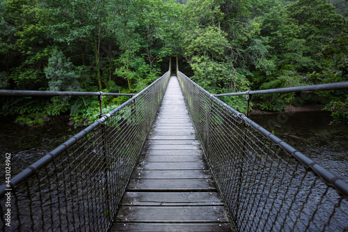 Suspension bridge over a river surrounded by lush vegetation. Cal Grande Bridge in Fragas Do Eume Natural Park, Galicia.