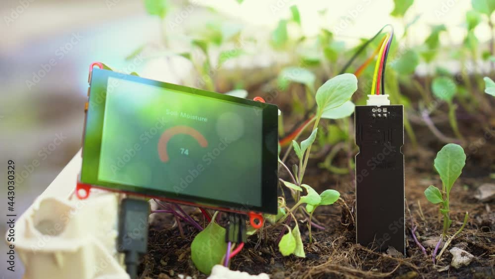 Soil moisture sensor to determine soil moisture. Agricultural technology.