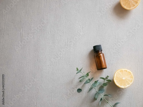レモンやオレンジ柑橘系とユーカリの葉。リラックス・アロマの香り。 photo