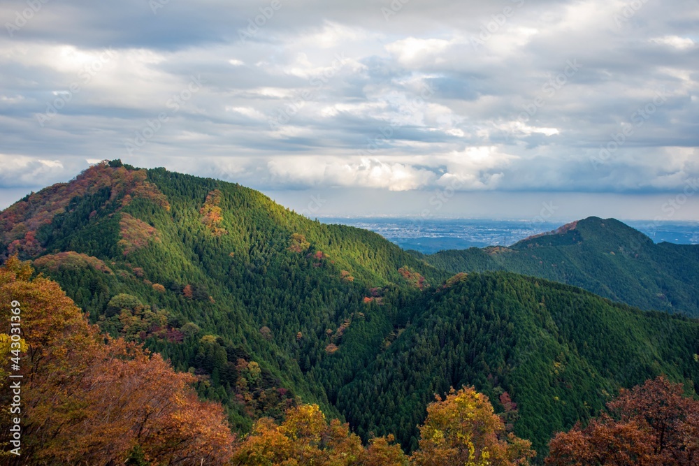  Mitake, Tokyo-Japan, Beautiful autumn scenery on the Mitake Mountain view point, the maple is starting changing its leaf to red color. Many of Japanese come for camping, hiking and trailing