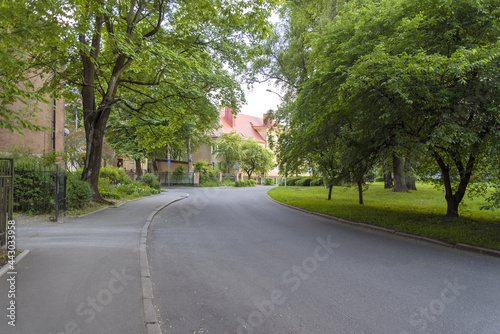 Paved road, green field and the outskirts of the village in summer.