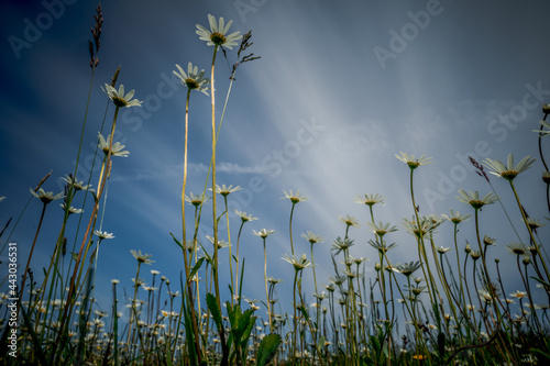 Besondere Wolkenformation Wolkenbilder photo