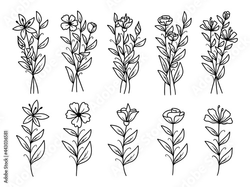 Hand drawn flower sketch line art illustration set.