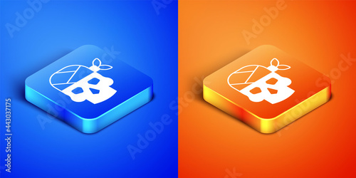 Isometric Pirate captain icon isolated on blue and orange background. Square button. Vector