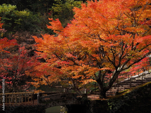 紅葉と石橋