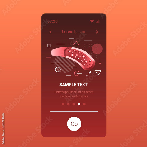 blood cells flowing through vein red artery human circulatory system anatomy medicine concept smartphone screen mobile app copy space flat