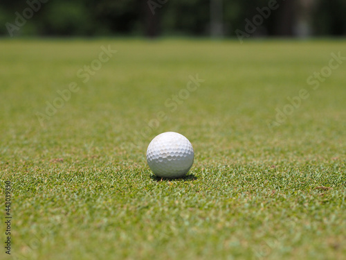 Golf ball on the green background. 