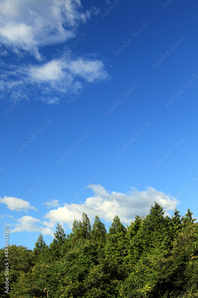 晴れた空