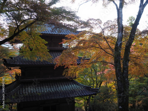 紅葉とお寺の境内