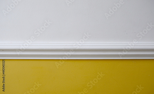 Interior image of white dado rail with yellow below and white above photo