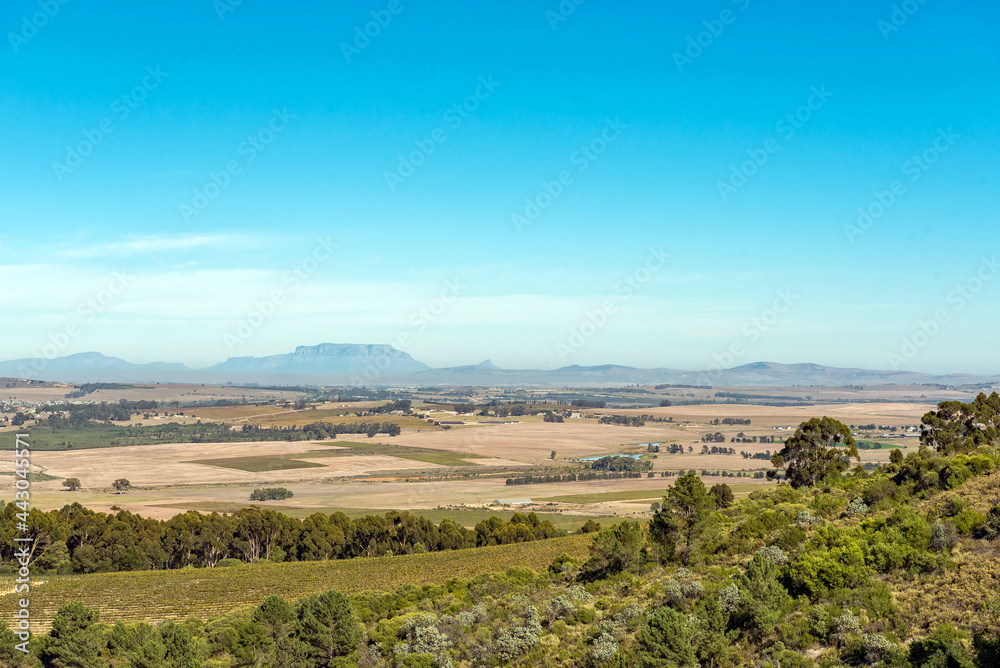 Table Mountain and Lions Head seen from Afrikaans Language Monument