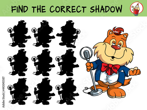 Pop star. Singing cat. Find the correct shadow