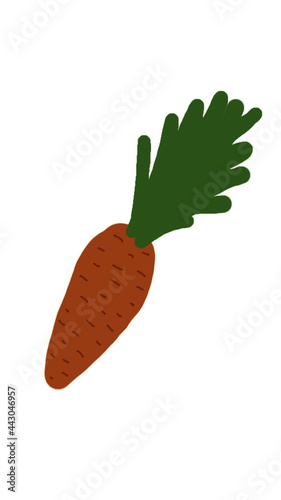 carrot isolated on white
