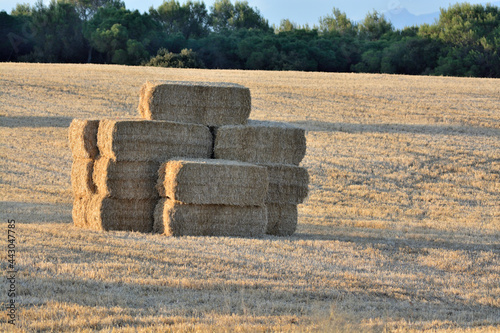 bales of hay