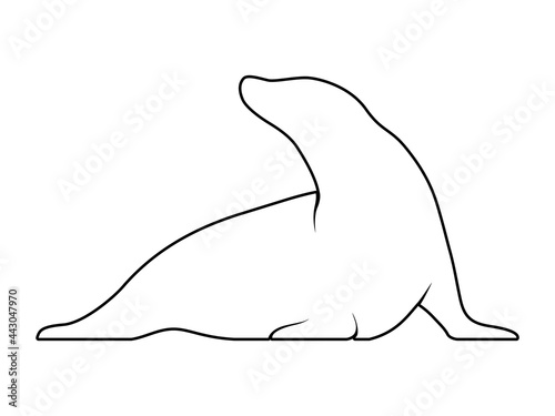 Seal Silhouette. Isolated Vector Animal Template for Logo Company, Icon, Symbol etc
