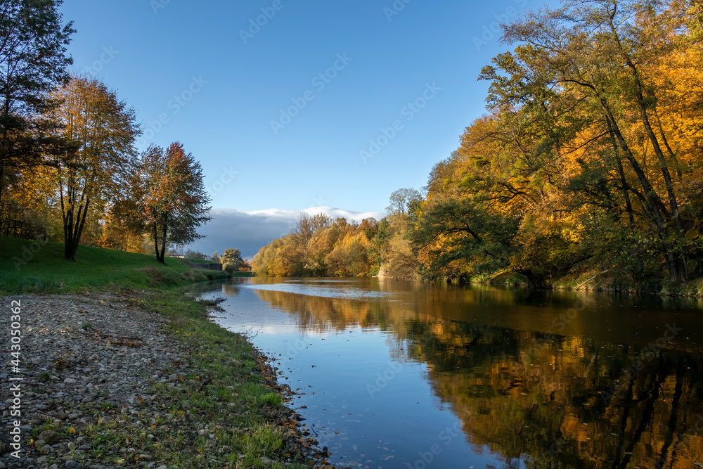 Autumn landscape on the Olše River