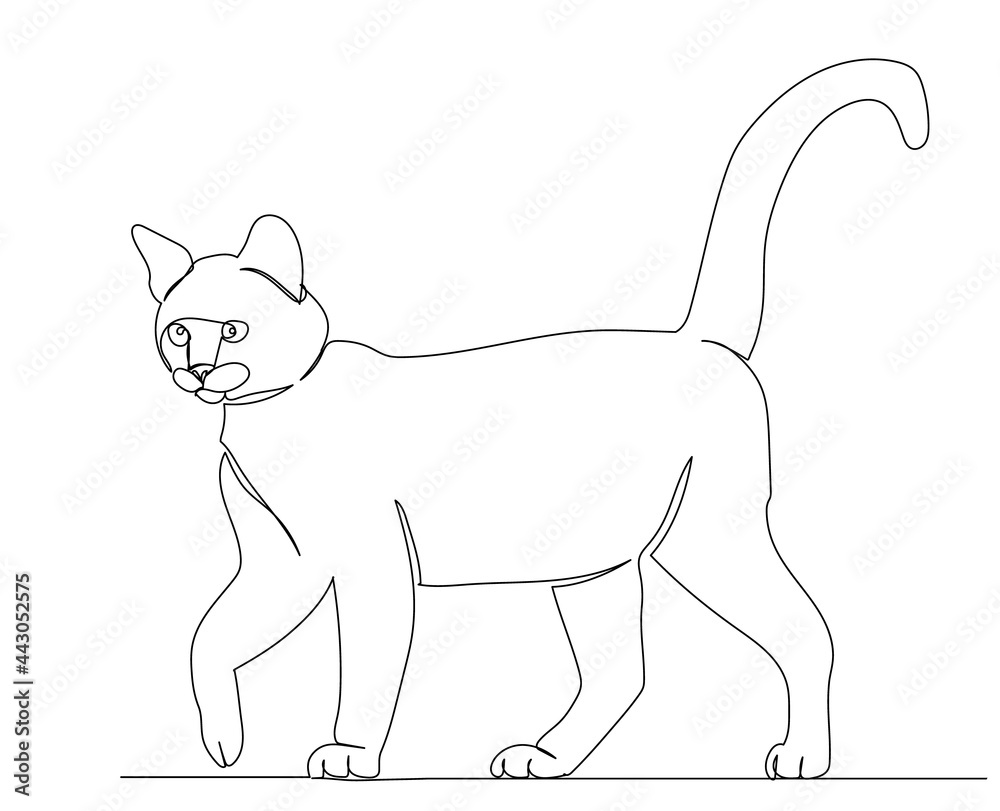 cat walking one line drawing sketch, isolated, vector cat walking one line drawing sketch, isolated, vector