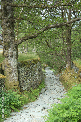 Looking down an ancient sunken slate miners path near Tilberthwaite in the Lake District photo