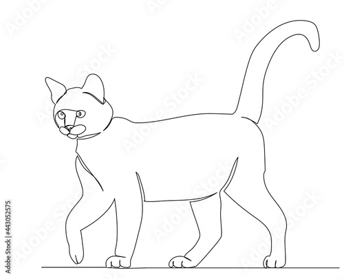 cat walking one line drawing sketch  isolated  vector