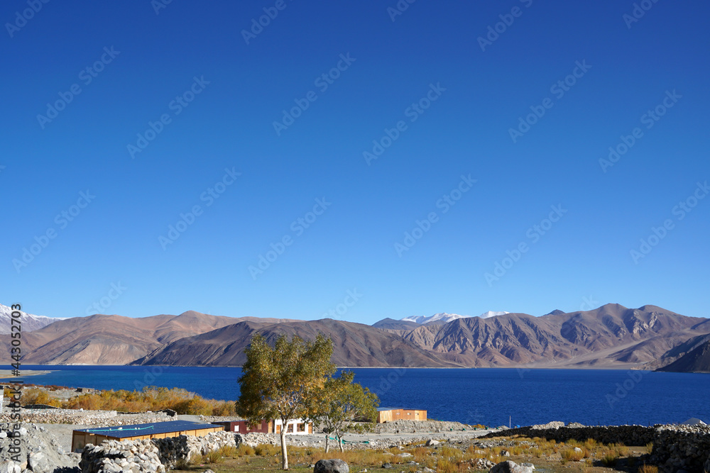 Lakescape  Nature Scene of Pangong tso or Pangong Lake with ้้snow mountain background is best famous destination at Leh Ladakh ,Jammu and Kashmir , India                              